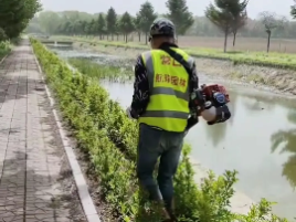 专业承包园林绿化养护.乔木.绿篱.草坪.杂草.修剪.打药,等一条龙服务。庭院,民宿,别墅,工厂,景观设计及绿化工程施工,经营园林绿化苗木。造型苗木。花卉等服务.