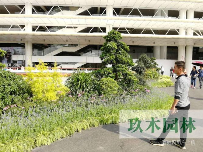 广州哪有园林绿化工程施工,绿化养护,绿地草坪养护