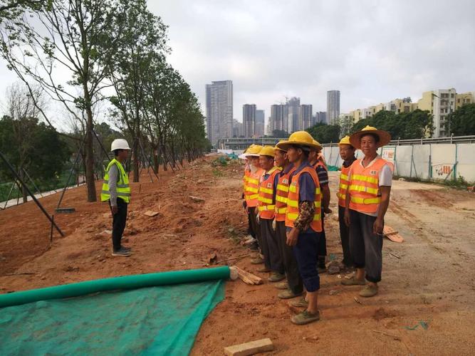 大沙河生态长廊景观项目绿化工程ii标